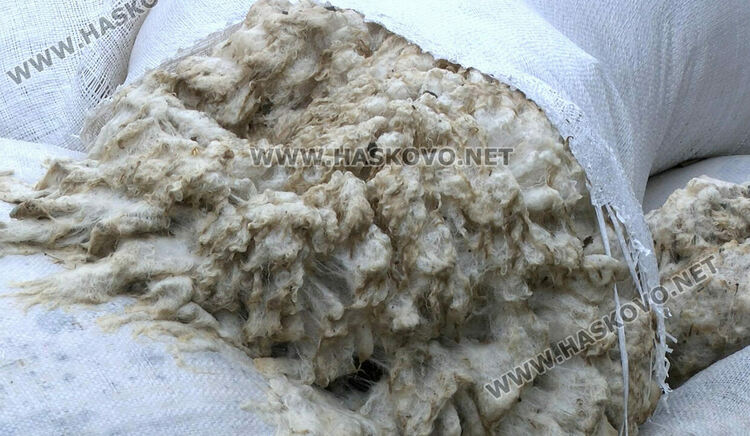 Купища отпадъци от грозде и вълна в горичка между Манастир и Книжовник