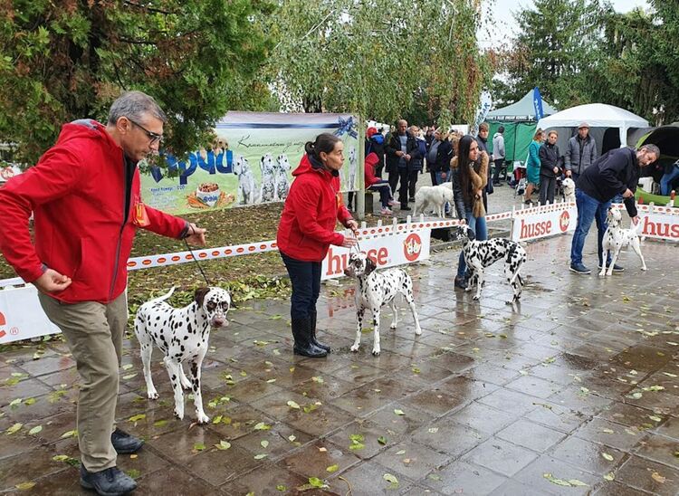 Въпреки дъжда The dog shou Първомай 2021 е факт