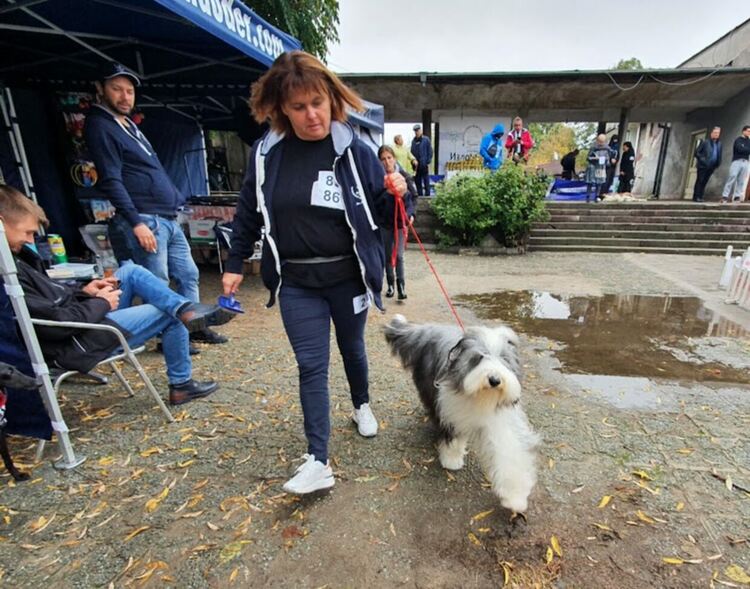 Въпреки дъжда The dog shou Първомай 2021 е факт