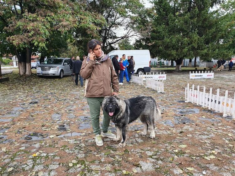 Въпреки дъжда The dog shou Първомай 2021 е факт