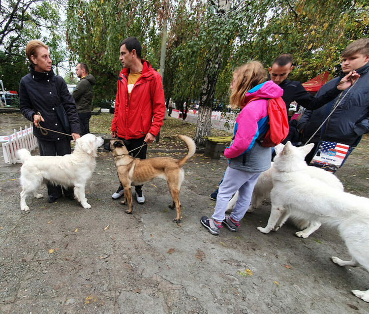 Въпреки дъжда The dog shou Първомай 2021 е факт