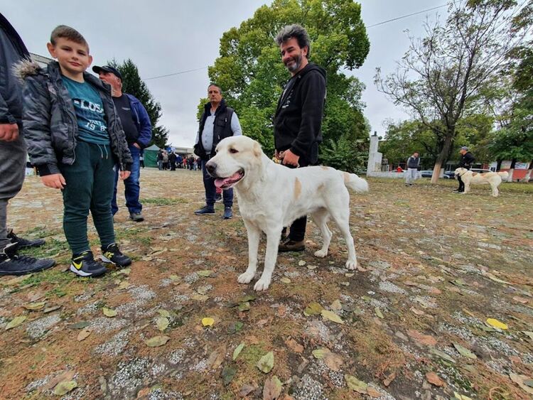 Въпреки дъжда The dog shou Първомай 2021 е факт