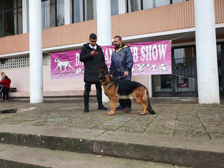 Въпреки дъжда The dog shou Първомай 2021 е факт