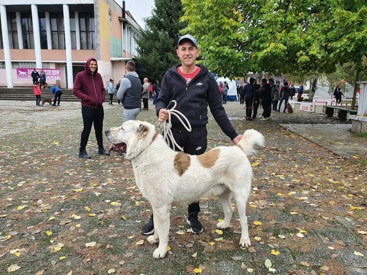 Въпреки дъжда The dog shou Първомай 2021 е факт