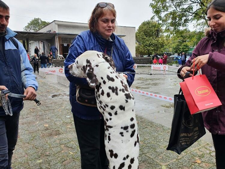 Въпреки дъжда The dog shou Първомай 2021 е факт