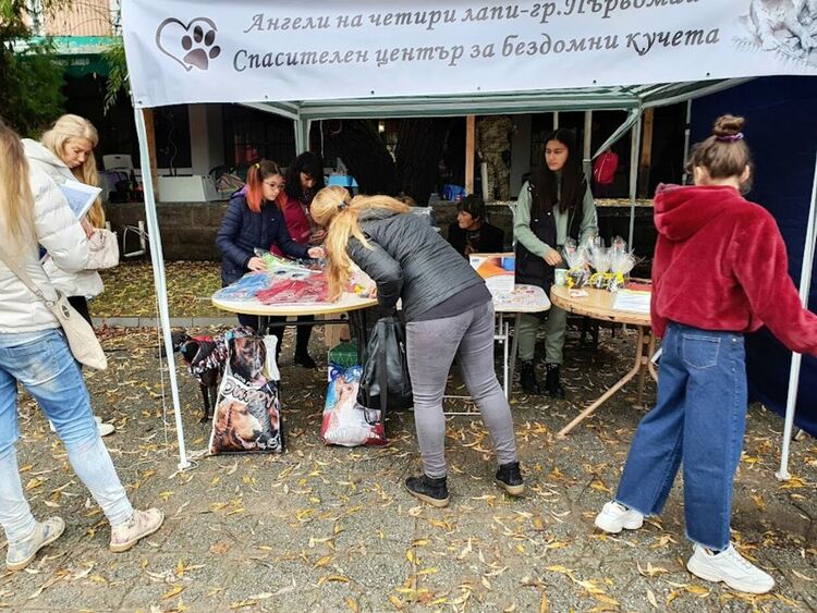 Въпреки дъжда The dog shou Първомай 2021 е факт