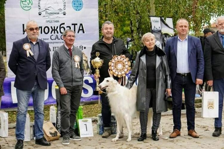 Избраха Иля, кучето на Гаро Папазян, за най-красивото на киноложката изложба