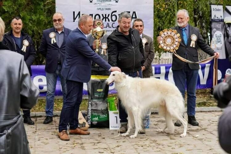 Избраха Иля, кучето на Гаро Папазян, за най-красивото на киноложката изложба