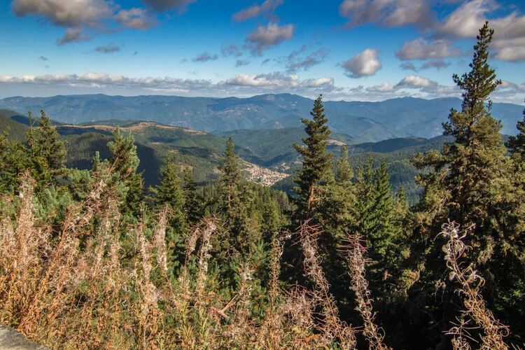 сн:Нина Серафимова