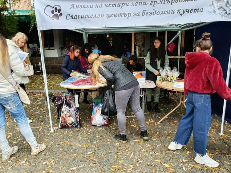 Спасителният център за кучета е изцяло с нова дограма, събира пари за таваните
