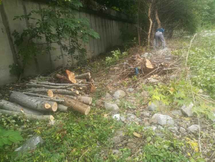 Почистват растителността от коритото на река Чая в района на Бачково