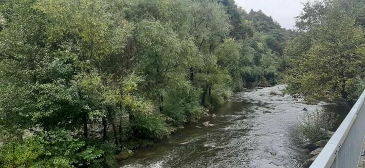 Почистват растителността от коритото на река Чая в района на Бачково