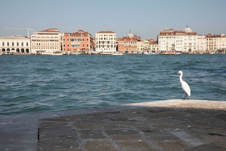 "Планетата на съкровищата: Европа" тази събота по еТВ