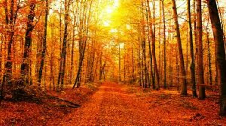 Пролет през есента