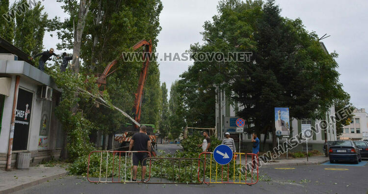 Затварят част от булеварда до зала „Дружба“ в петък заради сечта на тополи
