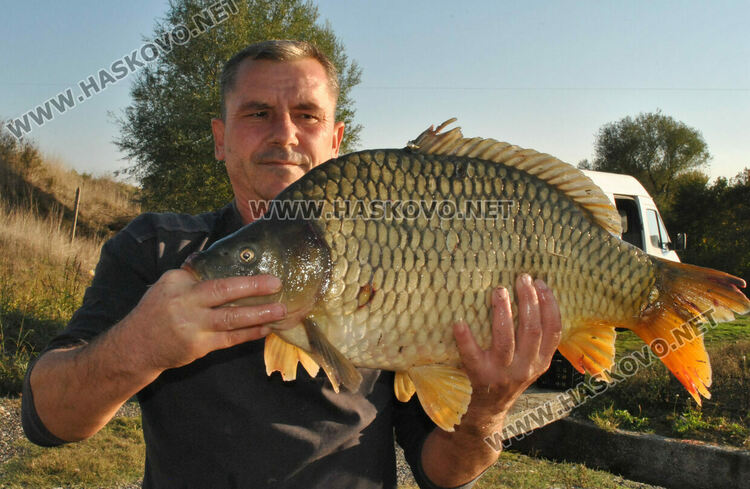 Пуснаха „златна рибка“ в язовир край Конуш