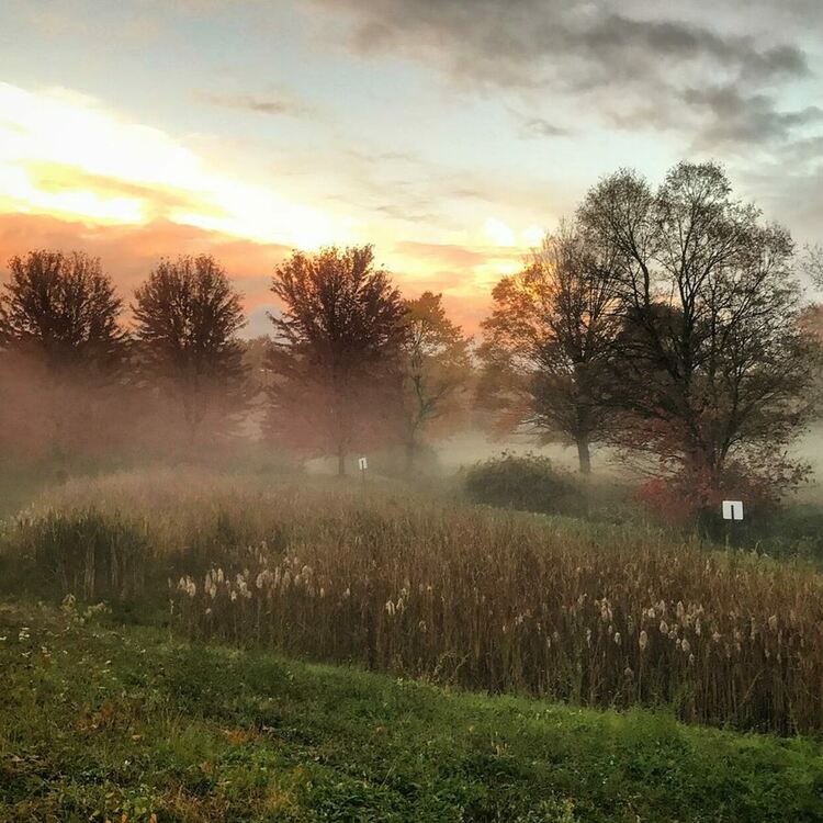 Слънчево, сутрешни мъгли в низините
