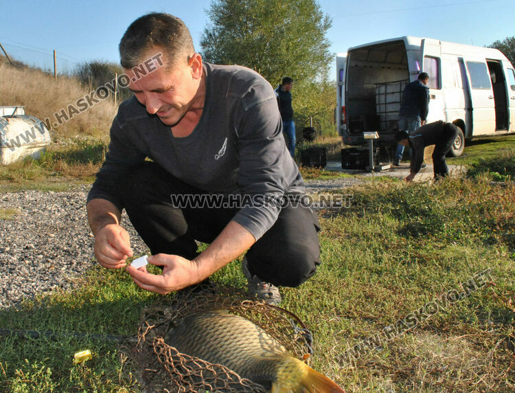 Пуснаха „златна рибка“ в язовир край Конуш