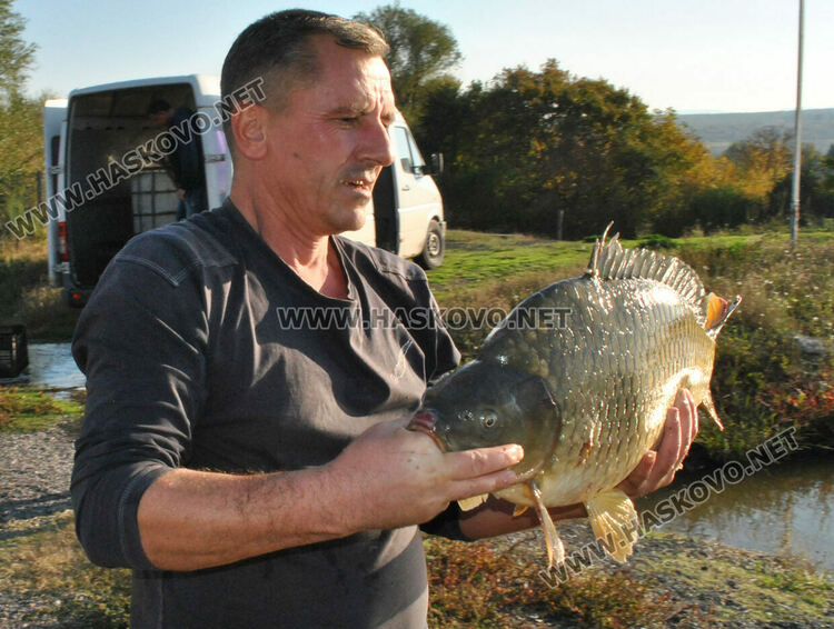 Пуснаха „златна рибка“ в язовир край Конуш