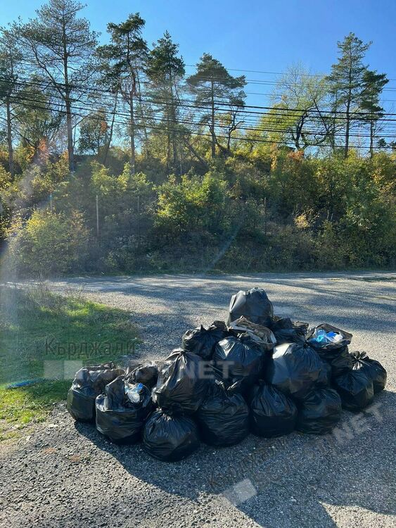 Младите ротарианци от Интеракт Клуб Кърджали почистиха парка около паметника на Орфей.