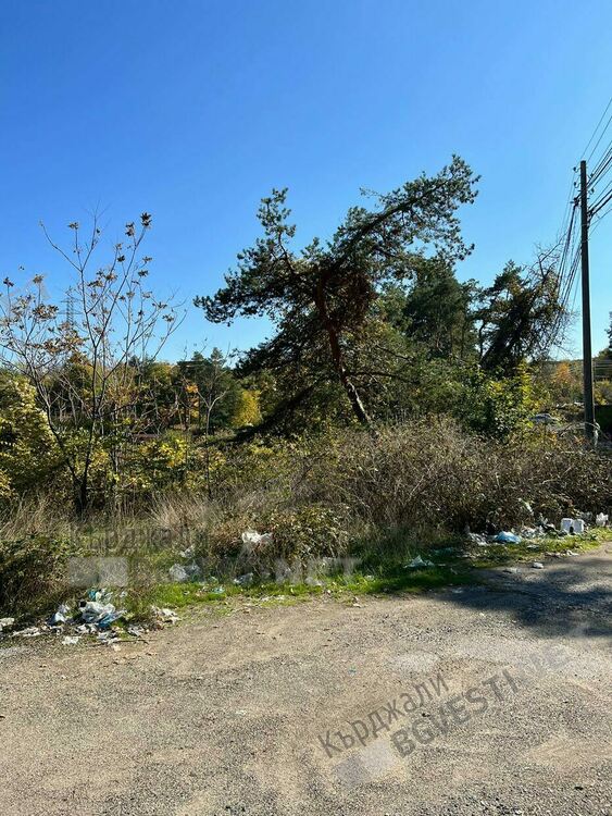 Младите ротарианци от Интеракт Клуб Кърджали почистиха парка около паметника на Орфей.