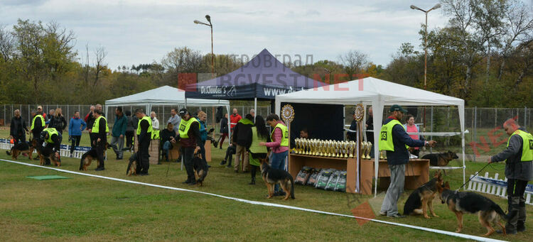 Над 100 овчарки взеха участие в международна киноложка изложба организирана в Димитровград