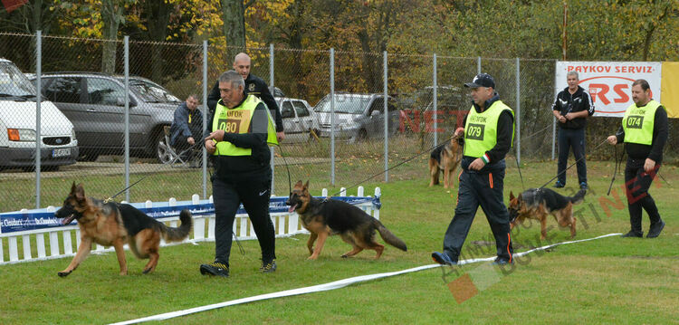 Над 100 овчарки взеха участие в международна киноложка изложба организирана в Димитровград