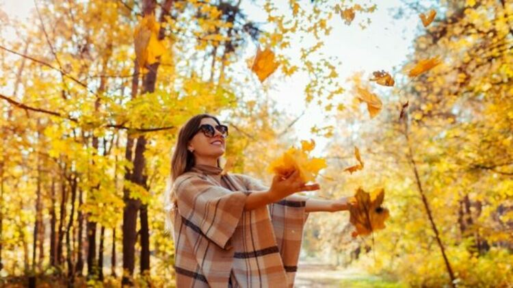 Слънчево в понеделник