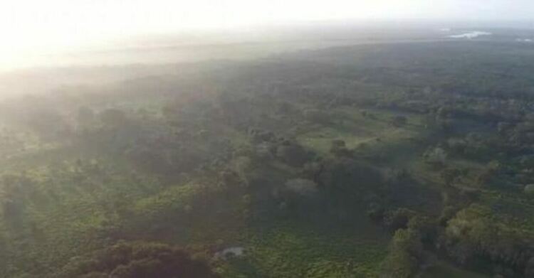 Откриха стотици древни церемониални обекти на маите и олмеките