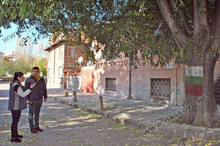 Хасковлийка се жалва за неокастрено дърво, общината изпраща резачи