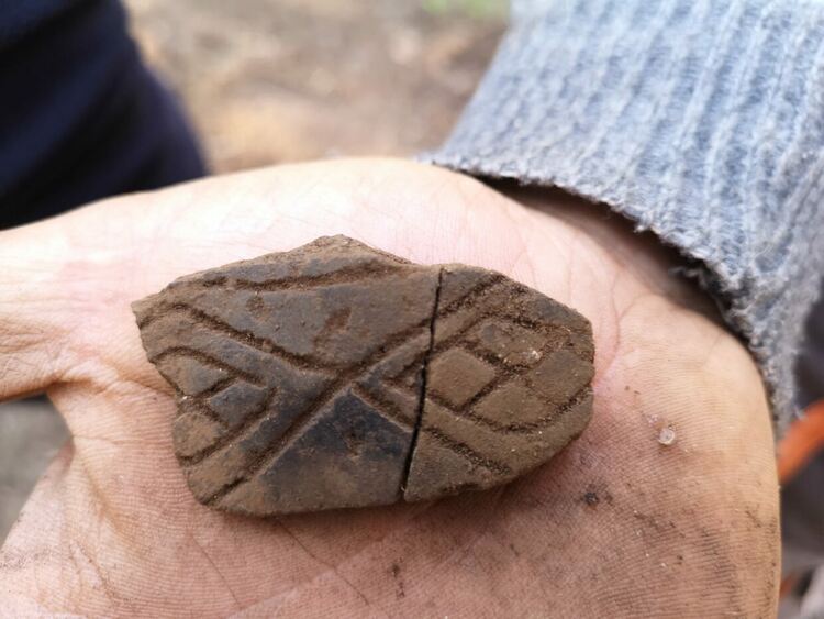 Огромна пещерна мечка е обитавала пещерата "Чая" край Чепеларе преди 23 хиляди години