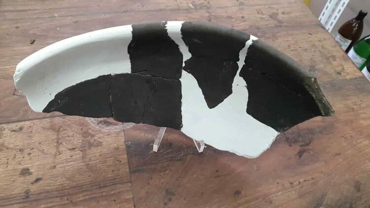 Огромна пещерна мечка е обитавала пещерата "Чая" край Чепеларе преди 23 хиляди години