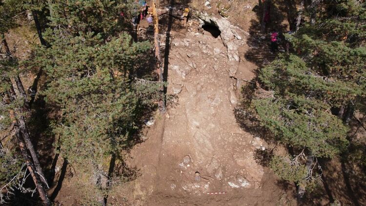 Огромна пещерна мечка е обитавала пещерата "Чая" край Чепеларе преди 23 хиляди години