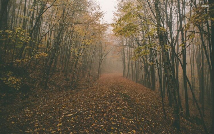 Облачно и мъгливо в равнините, слънце в планините