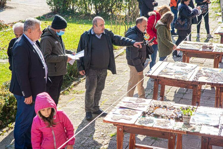 Емил Хумчев, БСП за България: Само с целенасочена и дългосрочна програма ще спрем да говорим за съсипани животновъдство и земеделие в планината