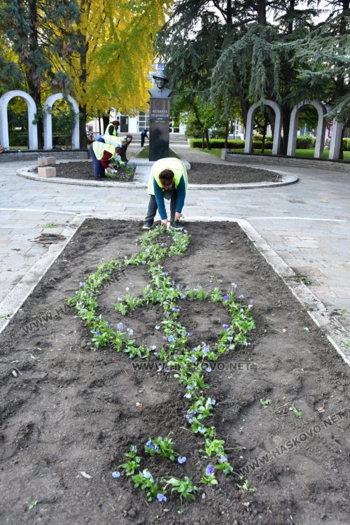 Ключът сол от теменужки украси пространството пред паметника на Ари