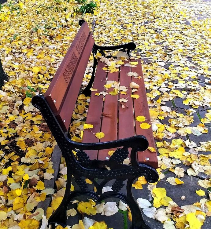 снимка: Милен Вълчев