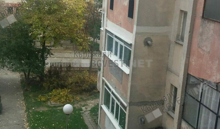 Кърджалийци с инициатива да кастрят дървета, други подозират общината