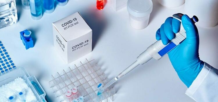 477 сa новорегистрираните с COVID-19 в област Пловдив 