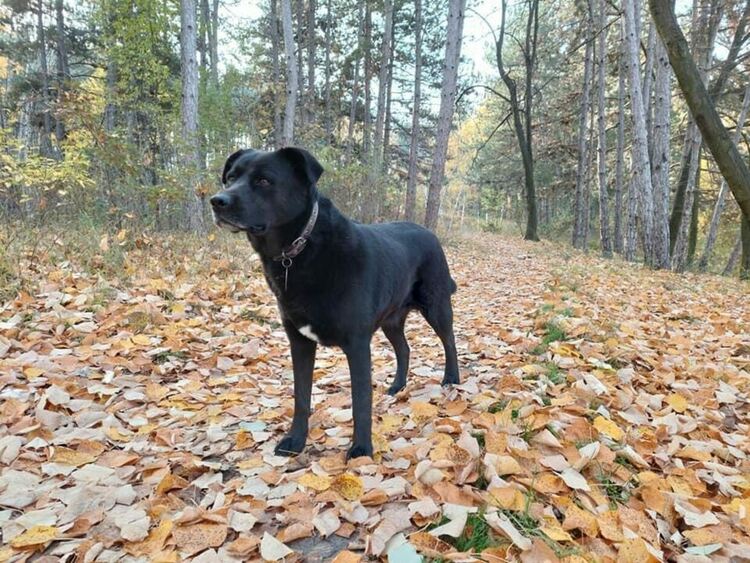 Топло с разкъсана облачност днес