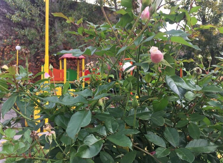 Повече облаци, малко слънце, но приятно време днес