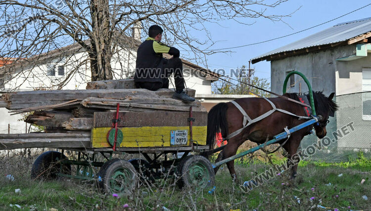 Глобиха фирмата, разрушаваща казармите заради изхвърляне на дървени отпадъци