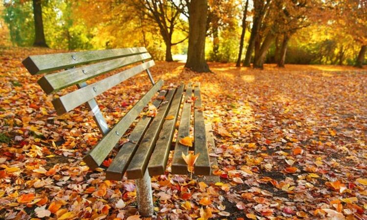 Облачно с кратък дъжд във вторник