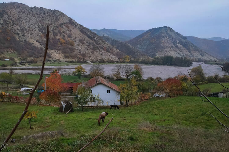 сн: Нина Серафимова