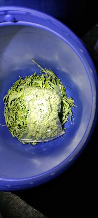 Пловдивски криминалисти задържаха мъж, занимавал се с производство и разпространение на наркотици 