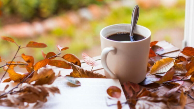 Слънчево и приятно време днес