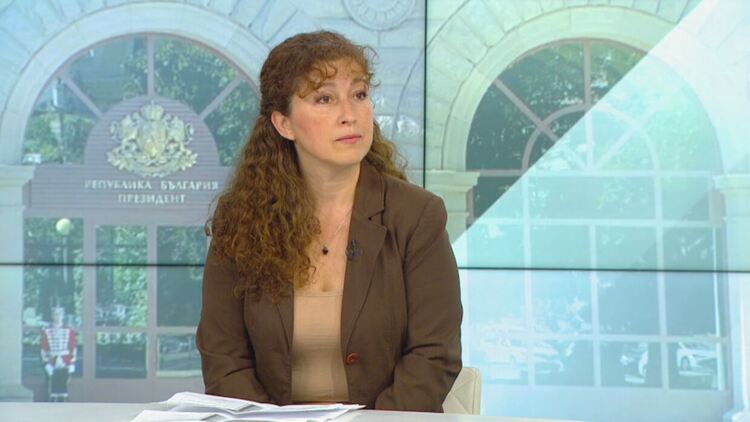 Ваня Нушева, "Прозрачност без граници": Внушенията за изборни фалшификации не са се оправдали