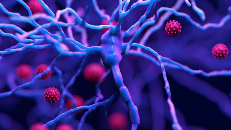 Японски учени: Щамът Делта на COVID-19 може да се самоунищожава