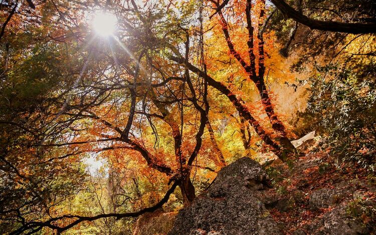 Облачно на запад, слънце на изток