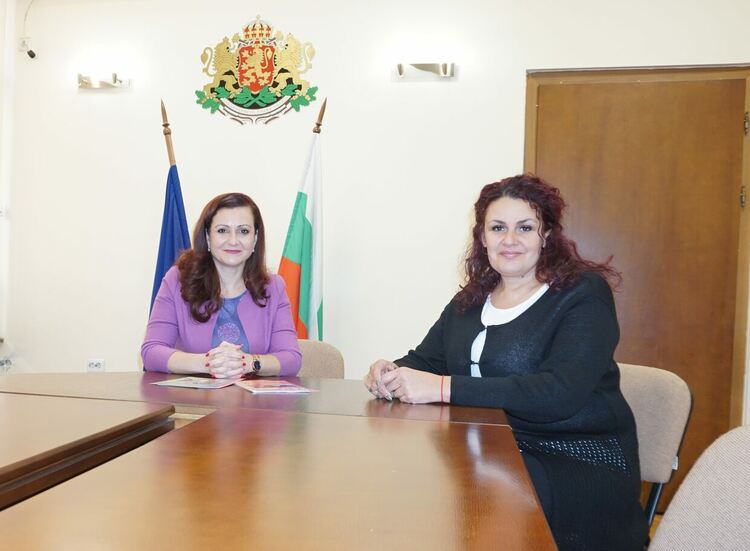 74 дела са заведени за защита от домашно насилие в област Хасково 